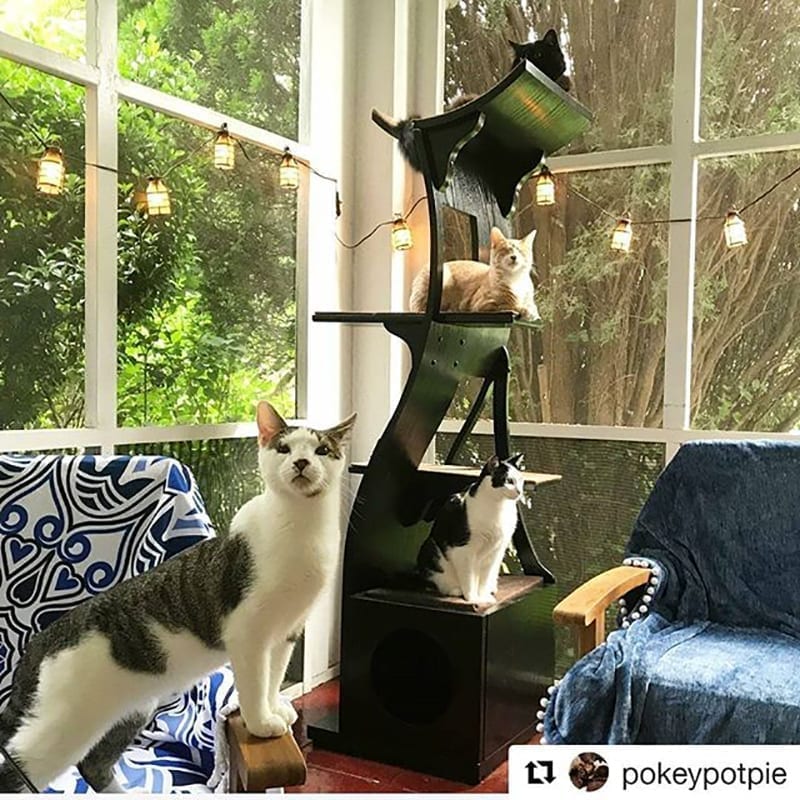 Lotus Cat Tower Espresso