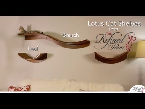 Lotus Branch and Leaf Cat Shelves from The Refined Feline