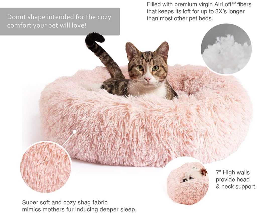 donut cat bed