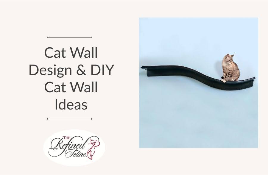 Cat Wall Design & DIY Cat Wall Ideas