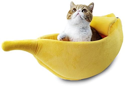 Cute Cat Bed