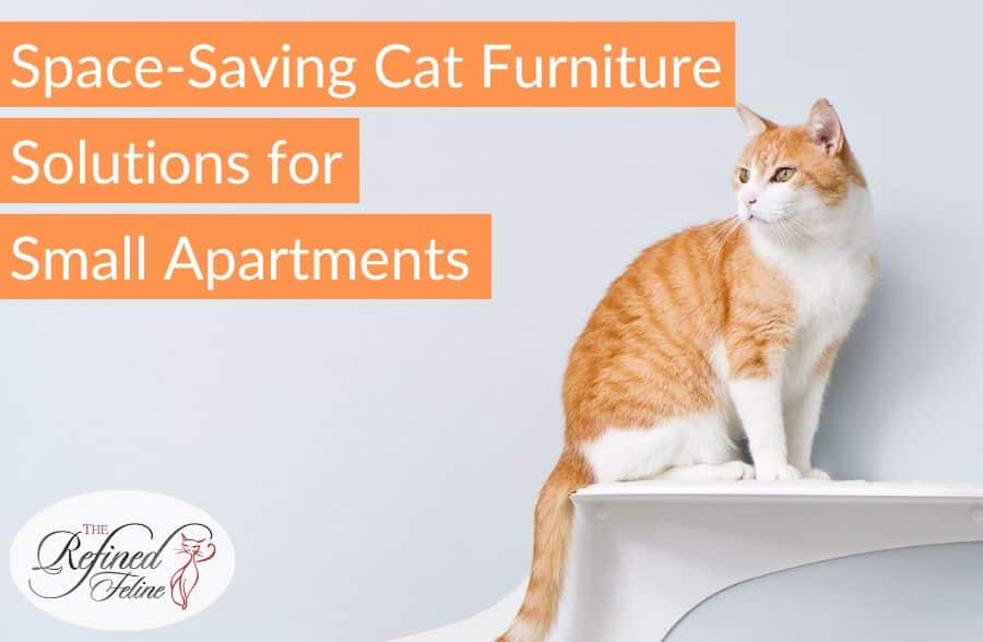 Space-Saving Cat Furniture Solutions for Small Apartments
