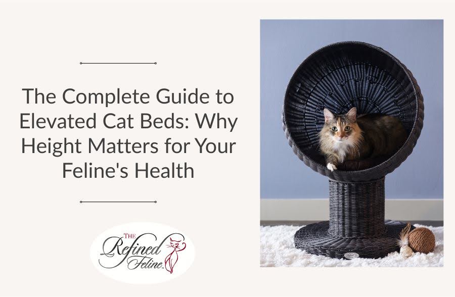 The Complete Guide to Elevated Cat Beds