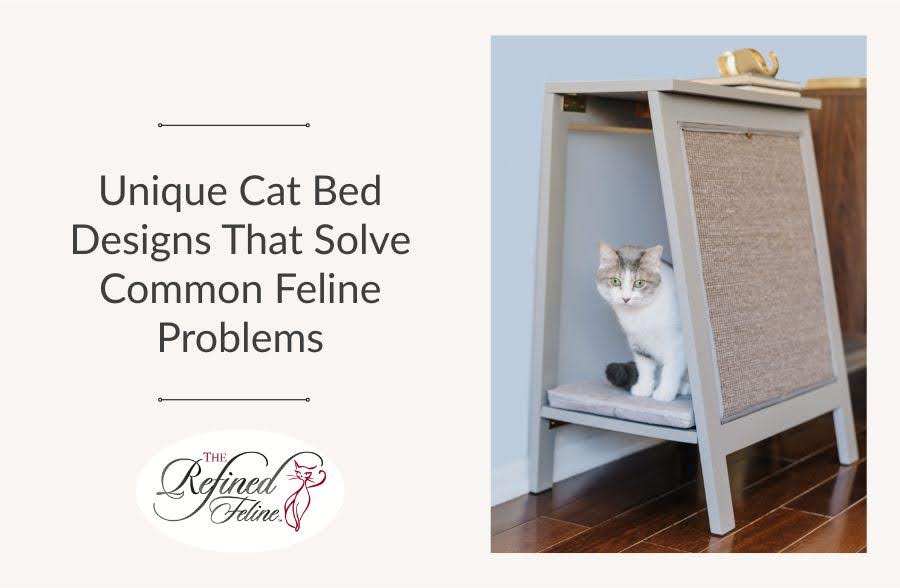 Unique Cat Bed Designs That Solve Common Feline Problems