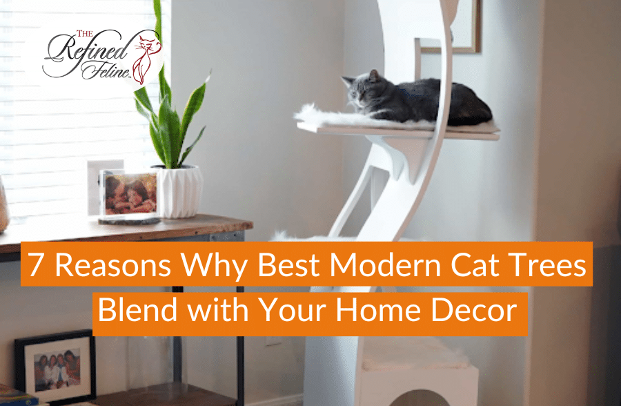 7 Reasons Why Best Modern Cat Trees Blend with Your Home Decor