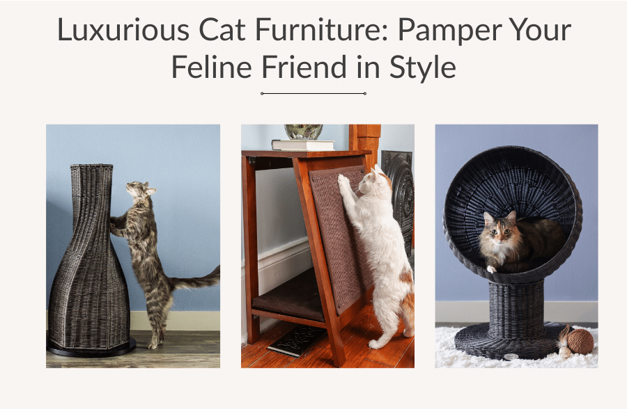 Luxurious Cat Furniture: Pamper Your Feline Friend in Style